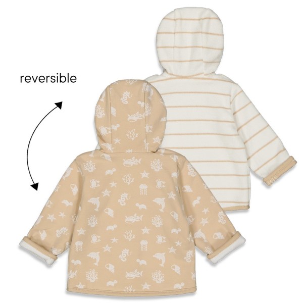 S2310_51800294_450_2