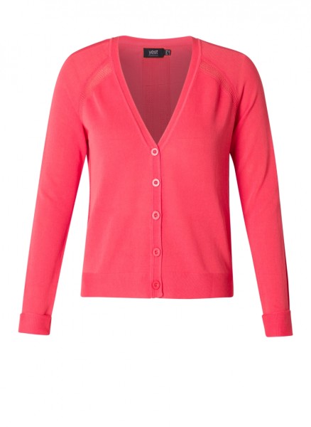 0003726-13000-Coral-floating-60593