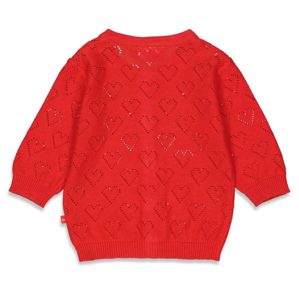 S2215_51300410_100_2