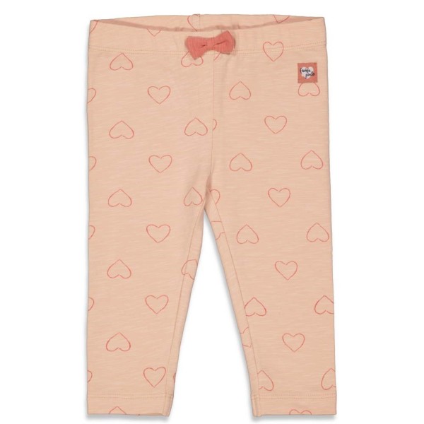 NOS31_52201806_370_1