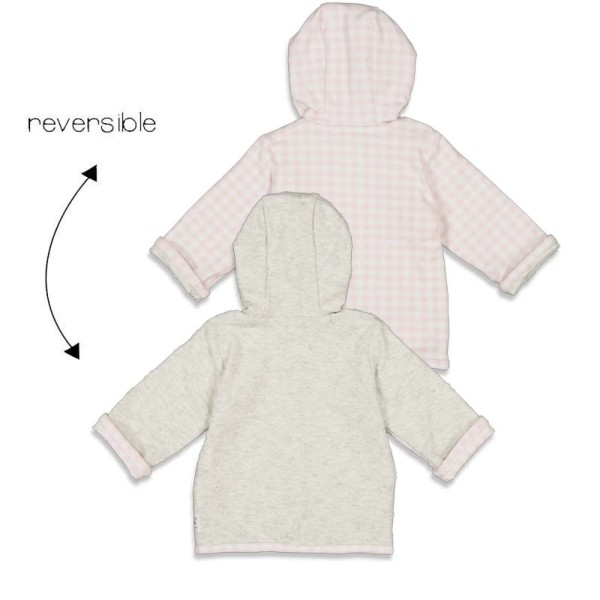 S2115_51800247_665_2