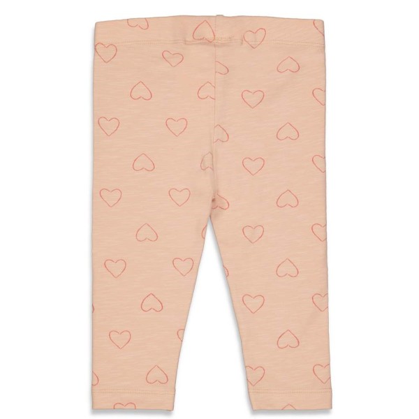 NOS31_52201806_370_2